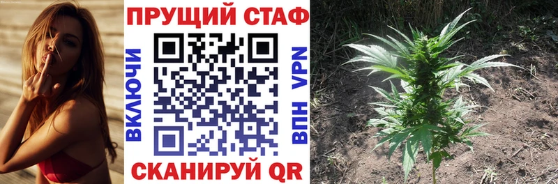 Купить наркоту Плёс MEGA зеркало  Меф мяу мяу  А ПВП  Псилоцибиновые грибы  ГАШИШ  COCAIN 