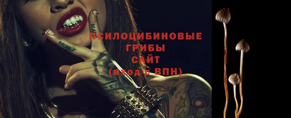 эйфоретик Белокуриха