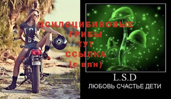 амф Беломорск