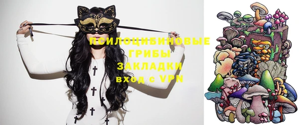 амф Беломорск